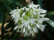 Acquisto vendita La Chapelle Du Lou