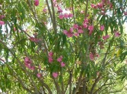 Acquisto vendita Retiers