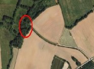 Acquisto vendita terreno Saint Domineuc