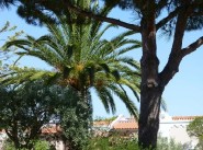 Acquisto vendita Tremblay