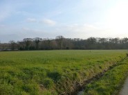 Terreno La Bosse De Bretagne