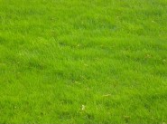Terreno Saint Domineuc