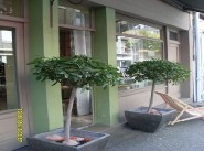 Ufficio, locale Lorient